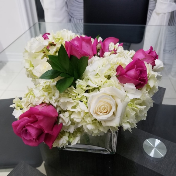 Meet your Posher, Rose - Picture 1 of 1